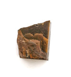 TIGERE